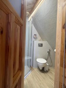 a bathroom with a toilet and a glass shower at Gościniec u Bobaków in Ząb