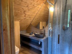 a bathroom with a sink and a wooden ceiling at Chata Rosocha domek na wyłączność in Cisna +58 photos