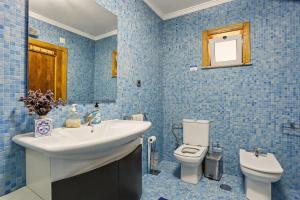 a blue tiled bathroom with a sink and a toilet at Casa da Giesta in Roge +23 photos