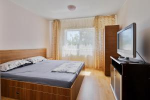 a bedroom with a bed and a flat screen tv at Centralsquad in Mangalia