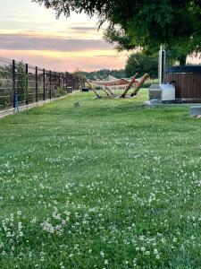a field of grass with white flowers and a fence at Brzozowa Polanka II in Lipowiec Stary +29 photos