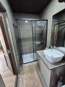 a bathroom with a glass shower and a sink at Sunpark in Vadul lui Vodă