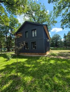 a black house in a field with a tree at Sunpark in Vadul lui Vodă