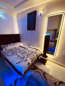 a bedroom with a bed and a large mirror at Sheylex Apartments in Idogwari