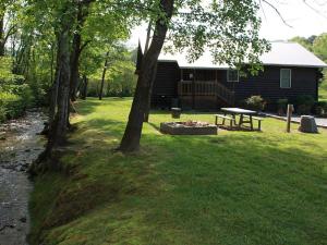 einen Hinterhof mit einer Feuerstelle und einem Haus in der Unterkunft Climbing Bear Creekside Cabin in Whittier