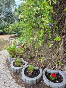a garden with some plants in some rocks at Casa da Paz-Martinchel in Casal do Rei