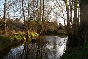 a river with trees and a house in the background at Cottage des Moutons Espiègles in Saint-Martin-de-Nigelles