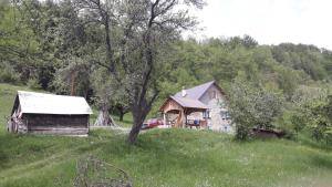 a house and a barn in a field at Do Vuceljica in Andrijevica