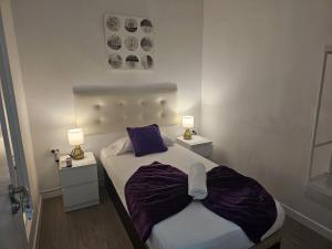 a bedroom with a bed with purple sheets and two lamps at Habitaciones Chueca in Madrid