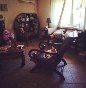 a cat sitting in a chair in a living room at A house with the view in Bar +7 photos