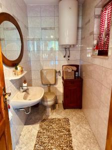 a bathroom with a toilet and a sink and a mirror at Kuća za odmor Srce in Slavetić +35 photos