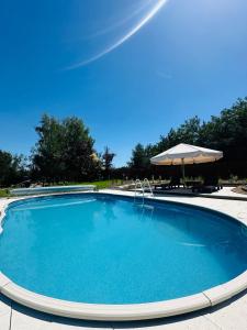 a large blue swimming pool with an umbrella at Domek na Rudzie in Ślesin +12 photos