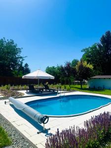 a large swimming pool with an umbrella in a yard at Domek na Rudzie in Ślesin