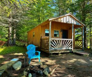 a wooden cabin with a blue chair in front of it at Lookout Cabin in Barton