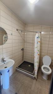 a bathroom with a shower and a toilet and a sink at Happy Time in Sredneye Vodyanoye