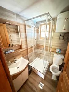 a bathroom with a shower and a toilet and a sink at Etnokutak Milojevic in Paraćin +24 photos