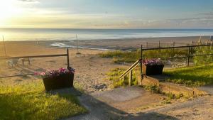 a stairway leading down to a beach with flowers at Wasaga Daze - Unit B in Wasaga Beach +11 photos