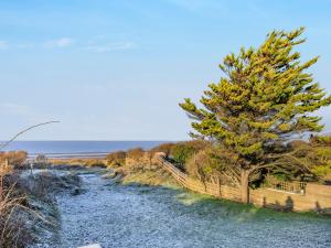 a tree next to a fence next to a river at Marram Dune Beach House in Brean