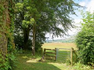 a gate in a field with a fence and trees at Steep Holm in Kington