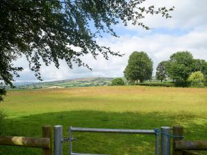 a wooden fence in front of a large field at Steep Holm in Kington +11 photos