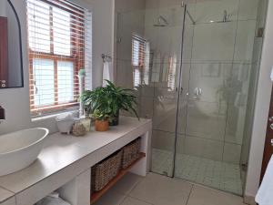 a bathroom with a glass shower and a sink at Petit Plaisir Cottage in Franschhoek