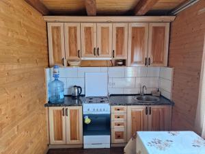 a small kitchen with a stove and a sink at Садиба Сузір'я in Vorokhta