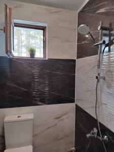a bathroom with a shower and a toilet and a window at Вила Мариам Villa Mariam in Batak +19 photos
