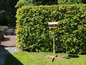 a parking meter in front of a green hedge at Cloud Cottage in Duns