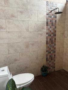 a bathroom with a toilet and a shower at Cabañas Casa Tucano in San Ramón +5 photos
