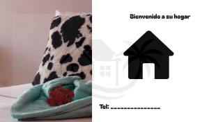 a picture of a room with a pillow and a picture of a stuffed animal at Hogar flores in La Ceiba +2 photos