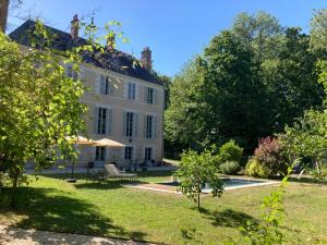 a large white house with a pool in the yard at Château de la Mothe in Olivet