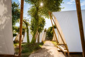 a row of white walls with trees and a dirt road at Kampaoh Somo Playa in Somo