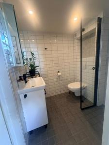 a bathroom with a toilet and a sink and a shower at Keskväljaku Studio apartment in Võru +9 photos