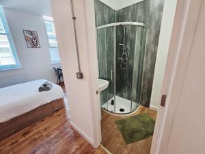 ein kleines Badezimmer mit Dusche und Waschbecken in der Unterkunft The Nest Lite in Sheffield + 53 Fotos