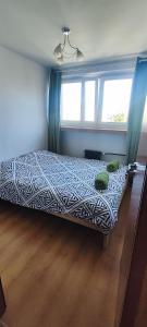 a bedroom with a bed in a room with a window at Rynek - Nowy Targ in Wrocław +14 photos