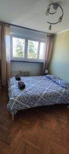 a bedroom with a bed in a room with two windows at Rynek - Nowy Targ in Wrocław