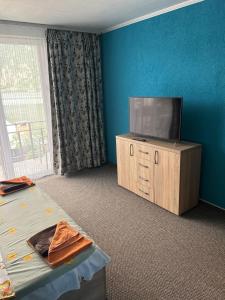 a room with a flat screen tv on a dresser at CASA DAVID in Dubova