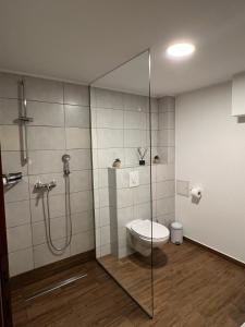a bathroom with a toilet and a glass shower at Iva in Posušje