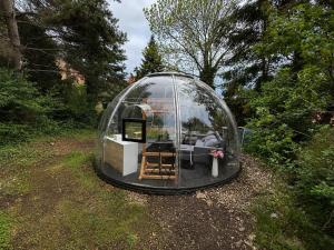 a glass dome house with a living room in it at Skyhomes Bubble Hotel in Prague