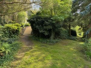 a walking path in a park with a tree at Skyhomes Bubble Hotel in Prague +3 photos