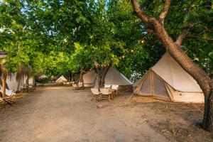 a group of tents and chairs under trees at Kampaoh Paloma in Tarifa +53 photos