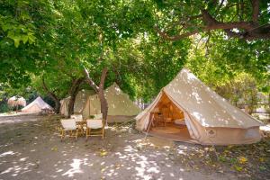a tent with chairs and chairs under a tree at Kampaoh Paloma in Tarifa