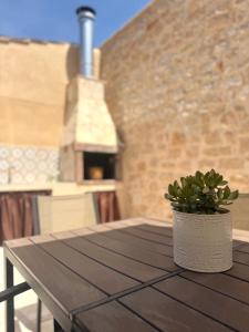 a wooden table with a potted plant on top of it at Casa Silvestre in Puigmoreno