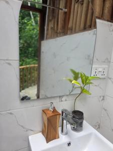 a bathroom sink with a mirror and a plant on it at Barreo Nova Eco Resort in Abrafo