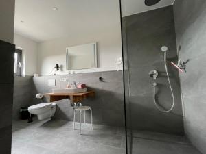 a bathroom with a shower and a sink and a toilet at Apartment Bienenfresser in Vogtsburg