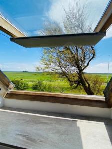 a window in a house with a view of a tree at HaRE Ferienwohnung DREE in Langeneß