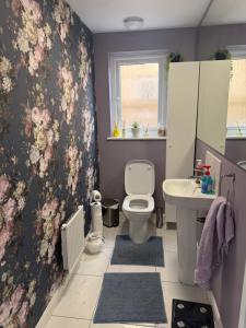a bathroom with a toilet and a sink at The Pentland Escape in Roslin