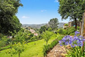 ein Garten mit lila Blumen auf einem grünen Feld in der Unterkunft Cantinho Do Préstimo in Águeda