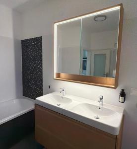 a bathroom with a white sink and a mirror at Riverside Furth in Furth +16 photos