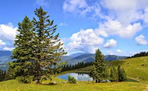 a lake in the middle of a field with trees at Otta Apartments Golte in Mozirje +46 photos